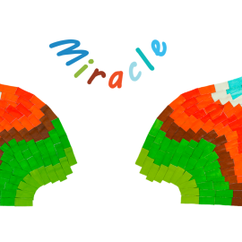 E6b_XL-wingsocean-navyblue-back1