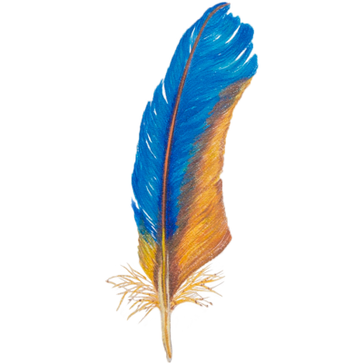 E7b_ML-feather-orange_white-front4