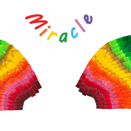 E1b_XL-wingsrainbow-black-back1