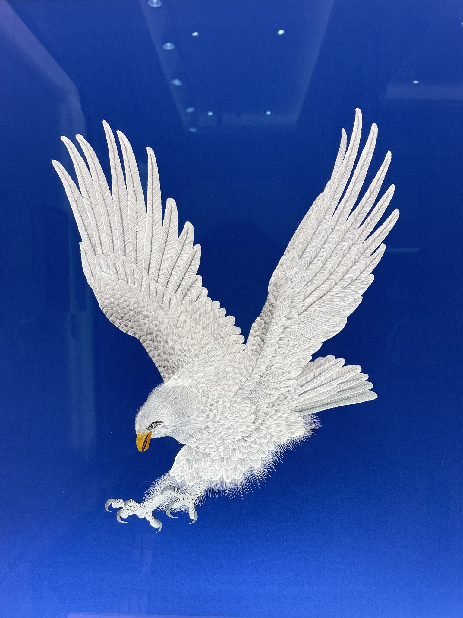 Self Photos / Files - image015